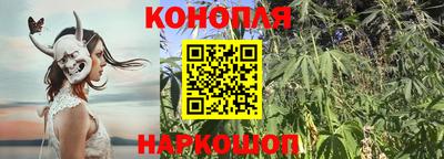 a pvp Кунгур