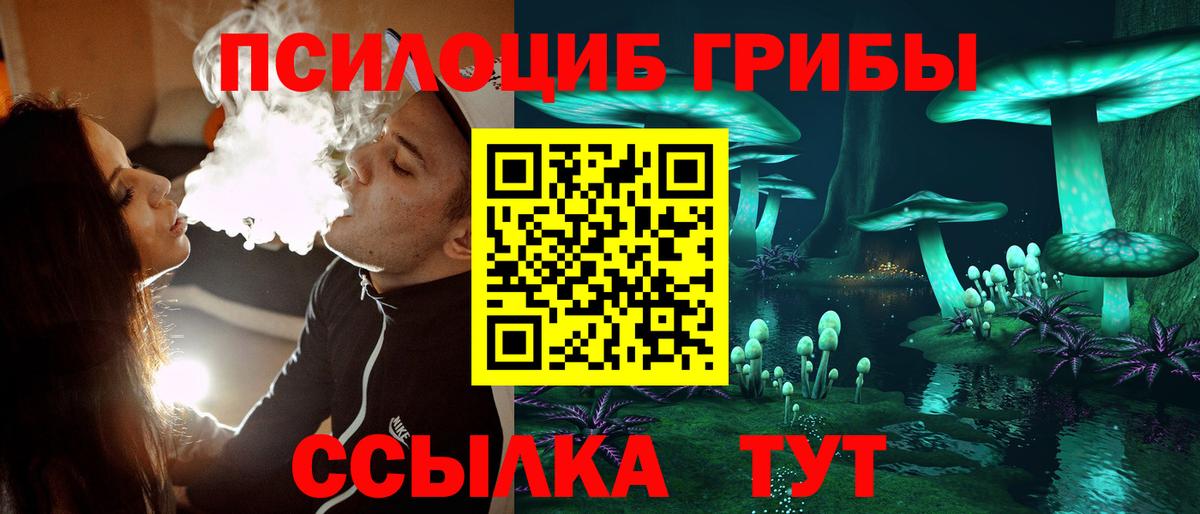 Урай  Псилоцибиновые грибы Cubensis  Вход с VPN 