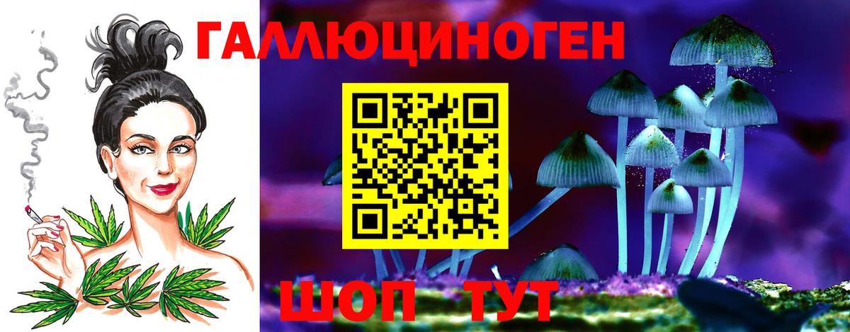 Псилоцибиновые грибы Psilocybine cubensis Урай